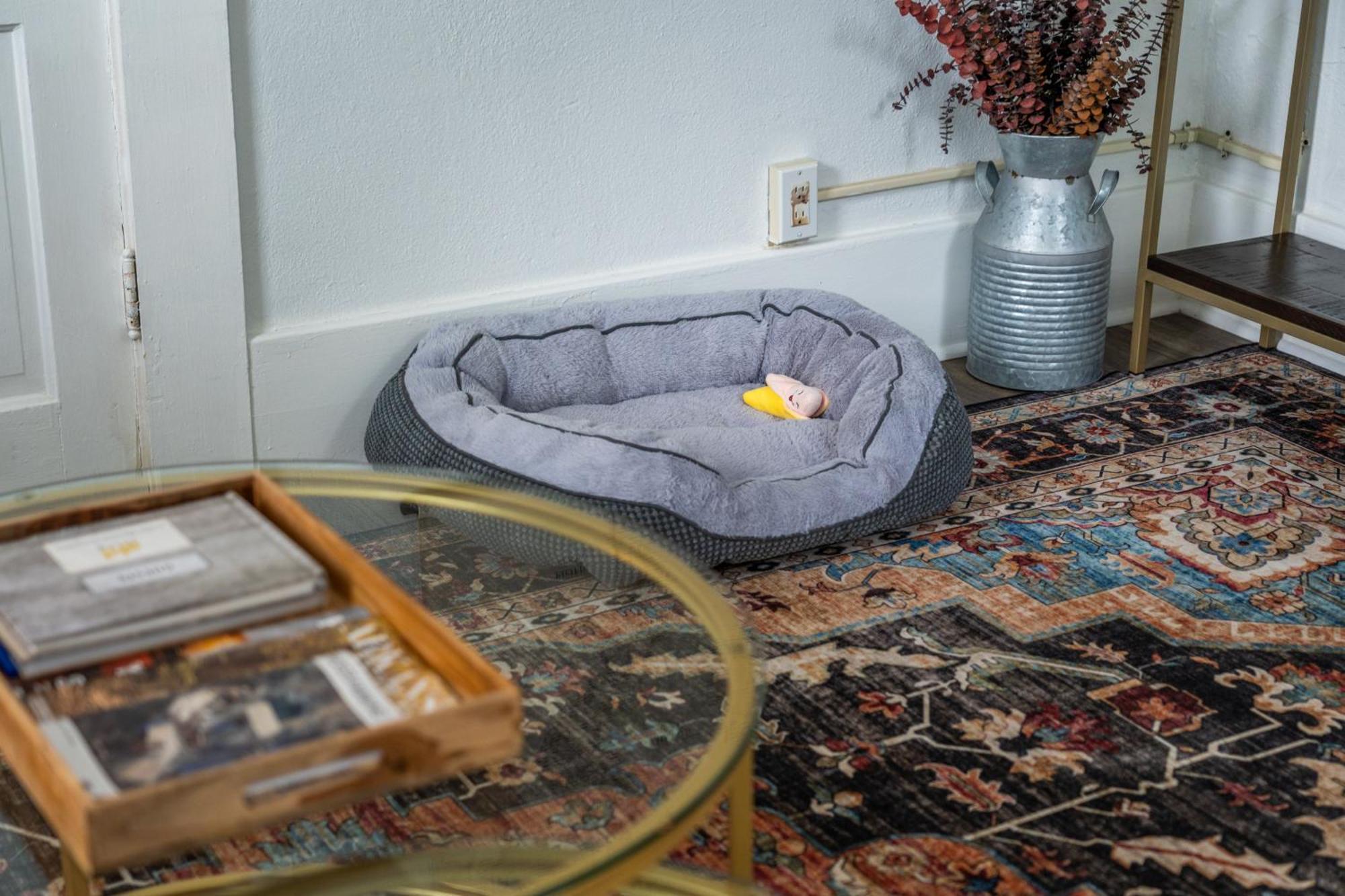 הוט ספרינגס Cedar Blossom Bungalow Is A Cozy Getaway With A 5 Minute Walk To Downtown! מראה חיצוני תמונה